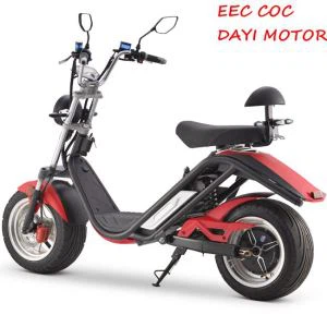 COC Điện Citycoco 2100w