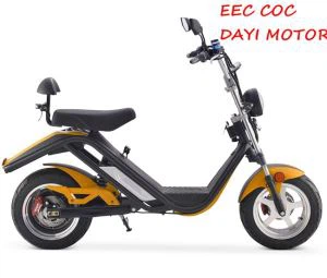 Xe tay ga điện Citycoco 2100w