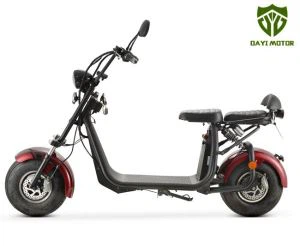 Mở ra 1500W EEC Xe máy điện