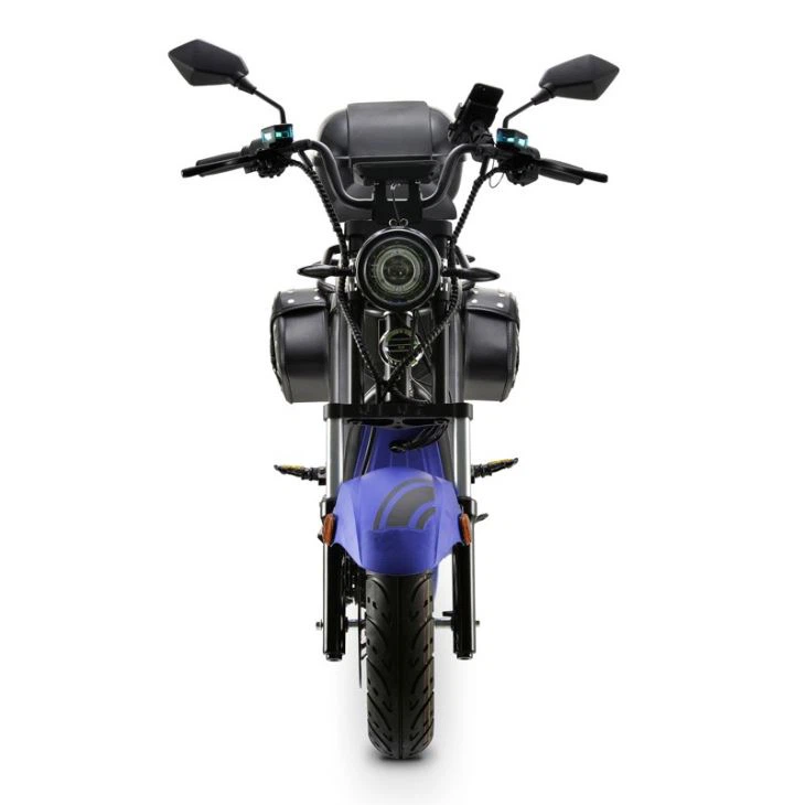 COC 4000W Citycoco RTS